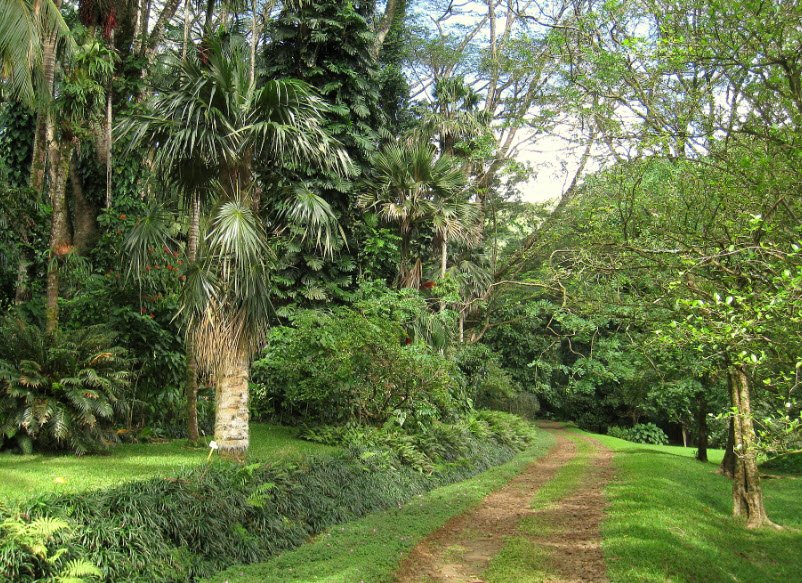 Lyon Arboretum, United States